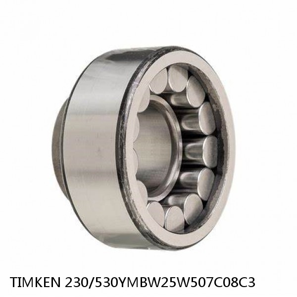 230/530YMBW25W507C08C3 TIMKEN Cylindrical Roller Bearings Single Row ISO