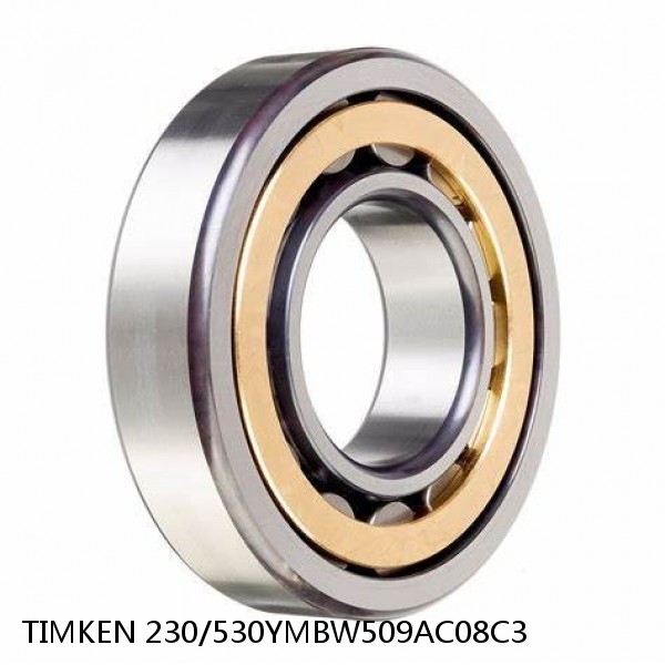 230/530YMBW509AC08C3 TIMKEN Cylindrical Roller Bearings Single Row ISO