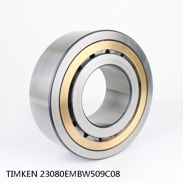 23080EMBW509C08 TIMKEN Full Complement Cylindrical Roller Radial Bearings
