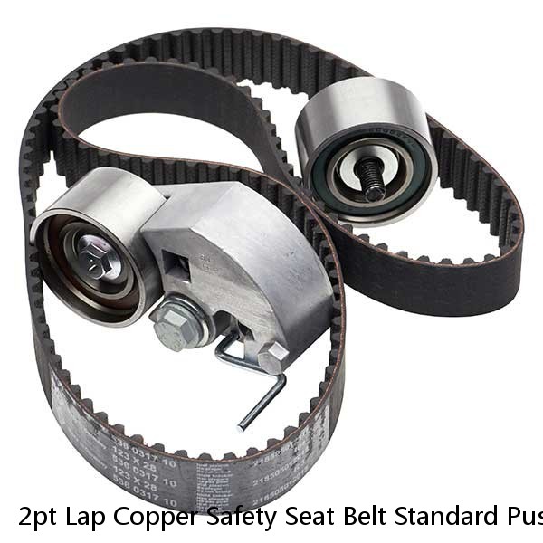 2pt Lap Copper Safety Seat Belt Standard Push Button Buckle Interior  Car Each
