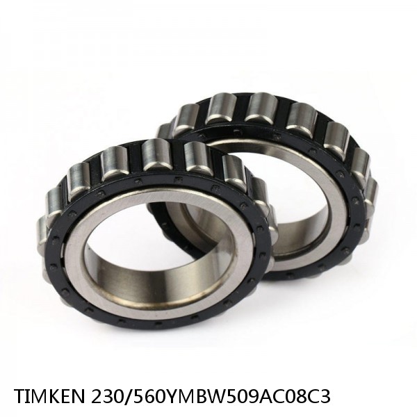 230/560YMBW509AC08C3 TIMKEN Cylindrical Roller Bearings Single Row ISO