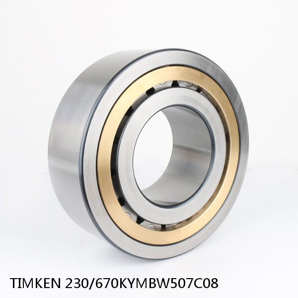 230/670KYMBW507C08 TIMKEN Full Complement Cylindrical Roller Radial Bearings #1 small image