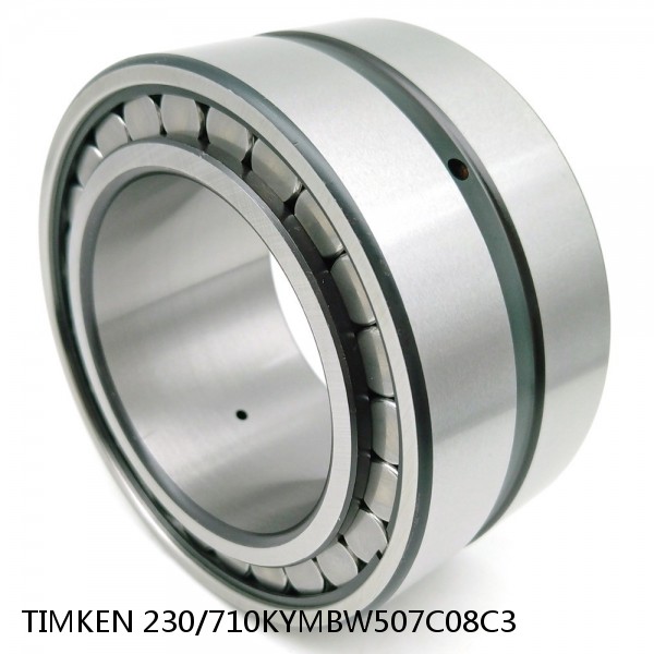 230/710KYMBW507C08C3 TIMKEN Full Complement Cylindrical Roller Radial Bearings #1 small image