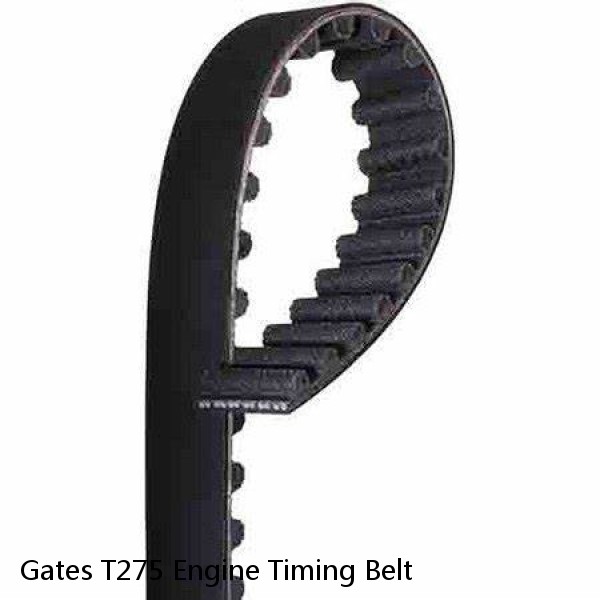 Gates T275 Engine Timing Belt #1 image