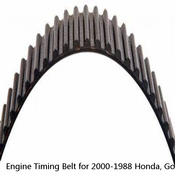 Engine Timing Belt for 2000-1988 Honda, Goldwing GL1500, 1500cc, Cam. Belt #1 image